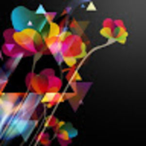 Meet your Posher, Abbey